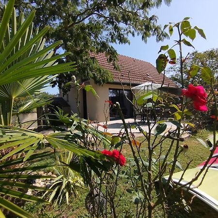 L'Albizia Gite Climatise St Maurice Saint-Maurice-en-Riviere Exteriör bild