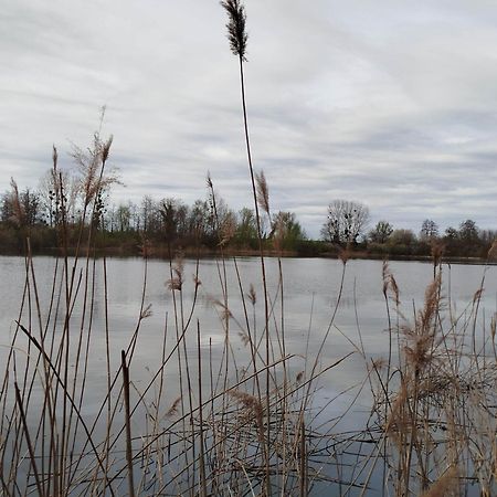 L'Albizia Gite Climatise St Maurice Saint-Maurice-en-Riviere Exteriör bild