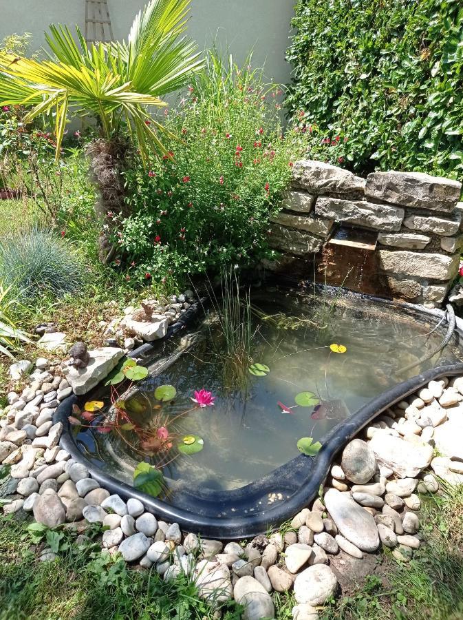 L'Albizia Gite Climatise St Maurice Saint-Maurice-en-Riviere Exteriör bild
