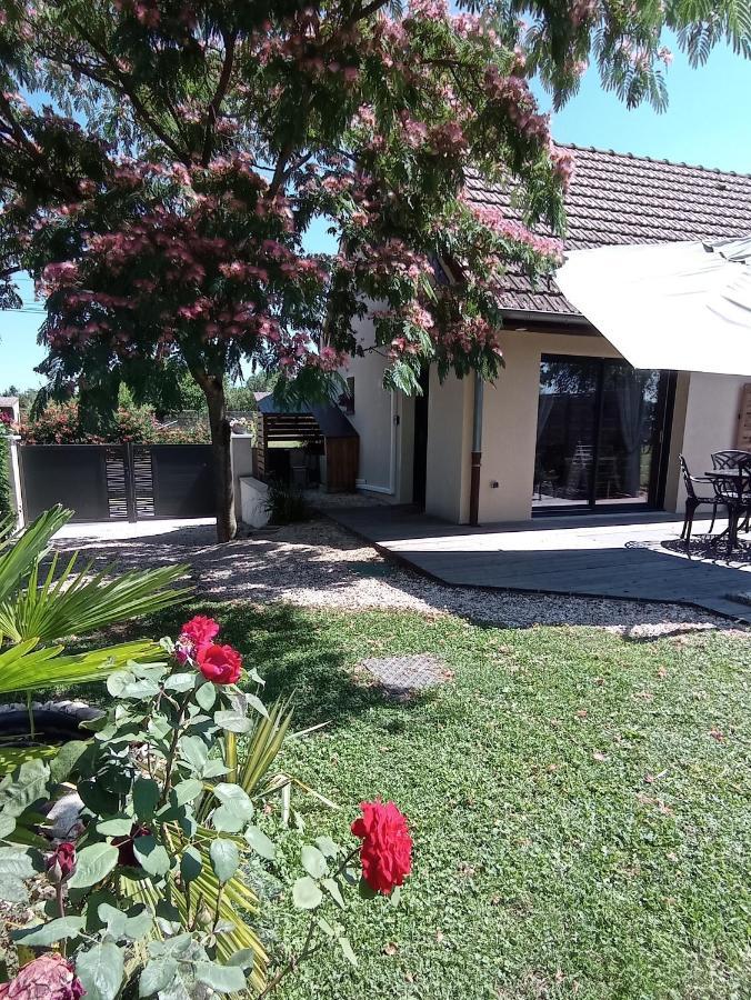 L'Albizia Gite Climatise St Maurice Saint-Maurice-en-Riviere Exteriör bild
