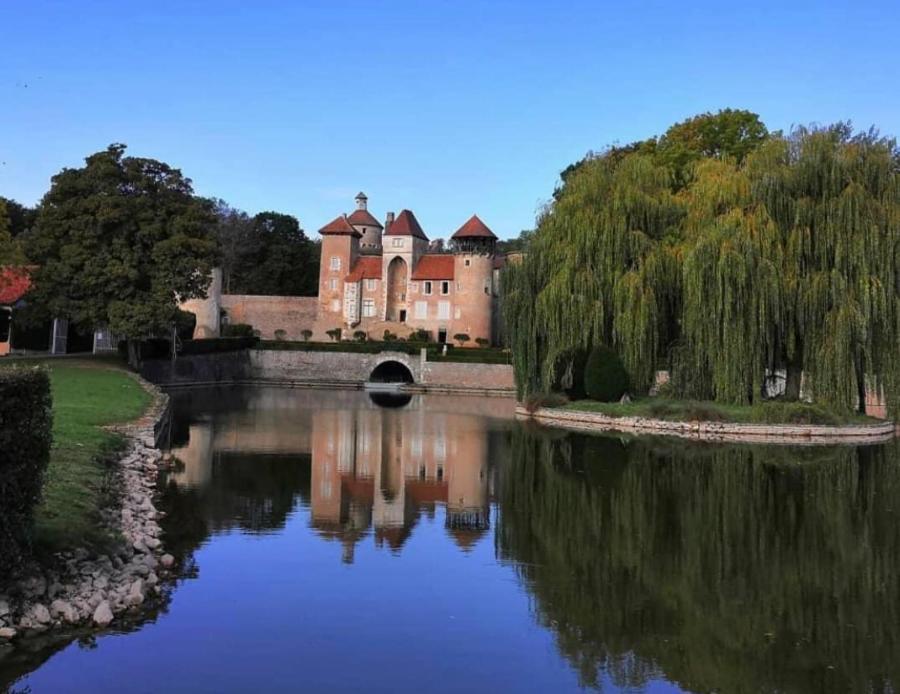 L'Albizia Gite Climatise St Maurice Saint-Maurice-en-Riviere Exteriör bild