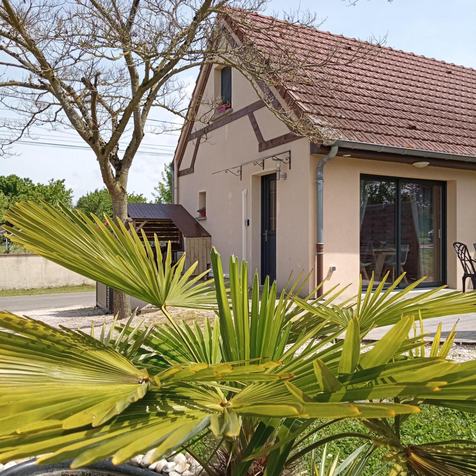 L'Albizia Gite Climatise St Maurice Saint-Maurice-en-Riviere Exteriör bild