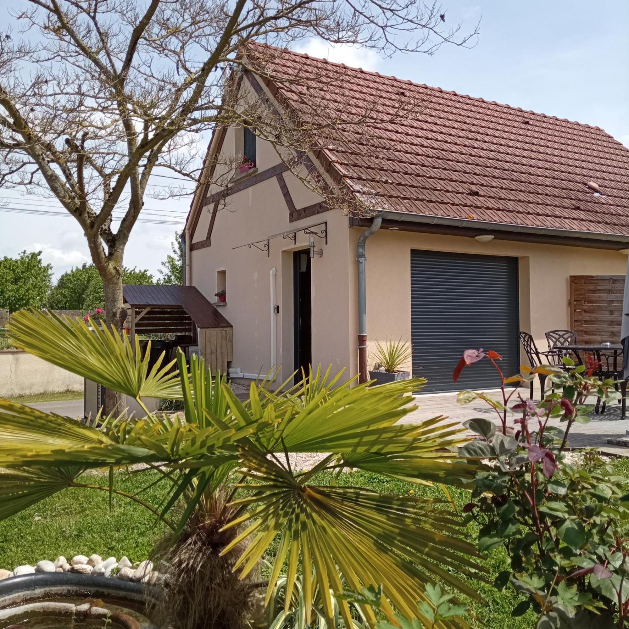 L'Albizia Gite Climatise St Maurice Saint-Maurice-en-Riviere Exteriör bild