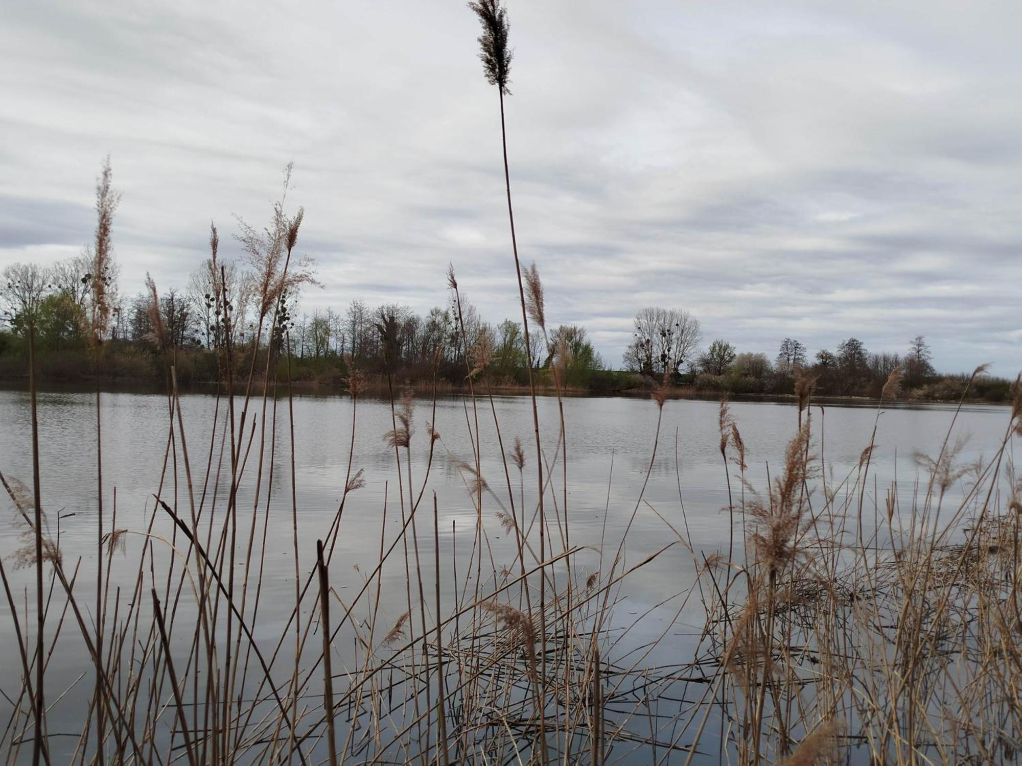 L'Albizia Gite Climatise St Maurice Saint-Maurice-en-Riviere Exteriör bild